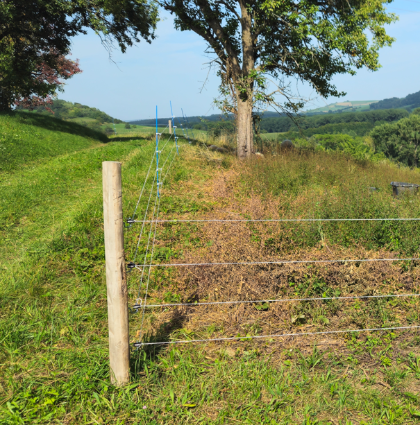 Landschaftspflege als Grundlage funktionsfähiger Ökosysteme; mit Zaunbau