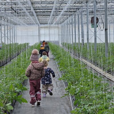 Kinder von hinten auf einem Weg in einem Gewächshaus