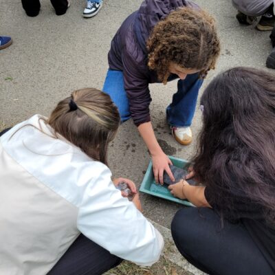 Drei Mädchen machen ein Experiment mit einem Schwamm